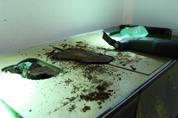 http://www.kinzel.org/bilder/2012_Aquarium/IMG_6730.JPG
