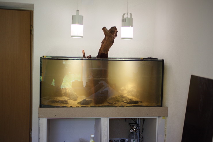 http://www.kinzel.org/bilder/2012_Aquarium/img_4233.jpg